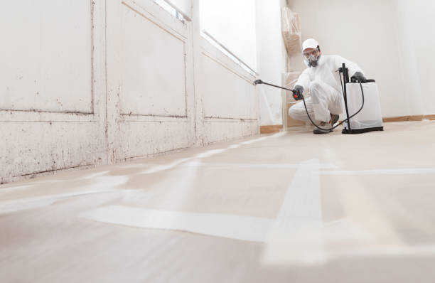24/7 Emergency Mold Remediation experts in Mine Hill, NJ